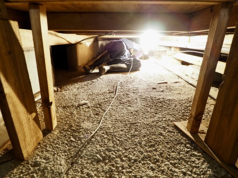 建物の床下で、シロアリの被害や湿気がないかを確かめる調査写真