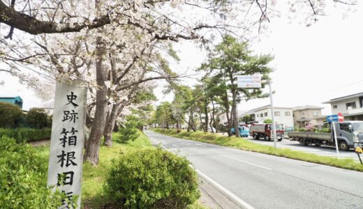 三島市初音台の土地価格相場｜特徴と今後の見通しを解説