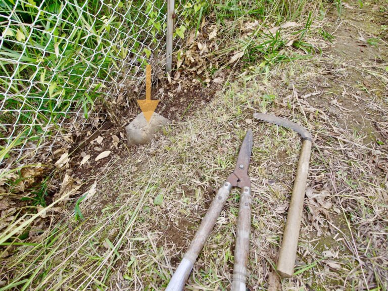 敷地の境界の杭と、お隣との境目を確かめる調査写真