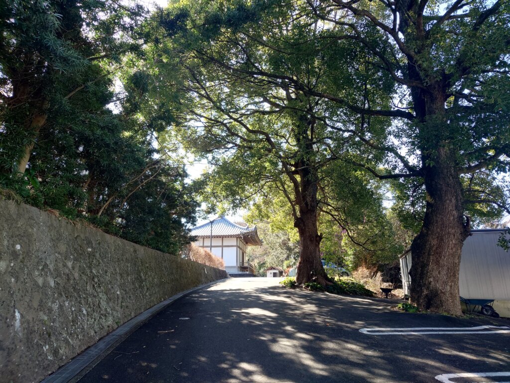石垣と大木に沿った道の先に瓦屋根の建物が見える風景