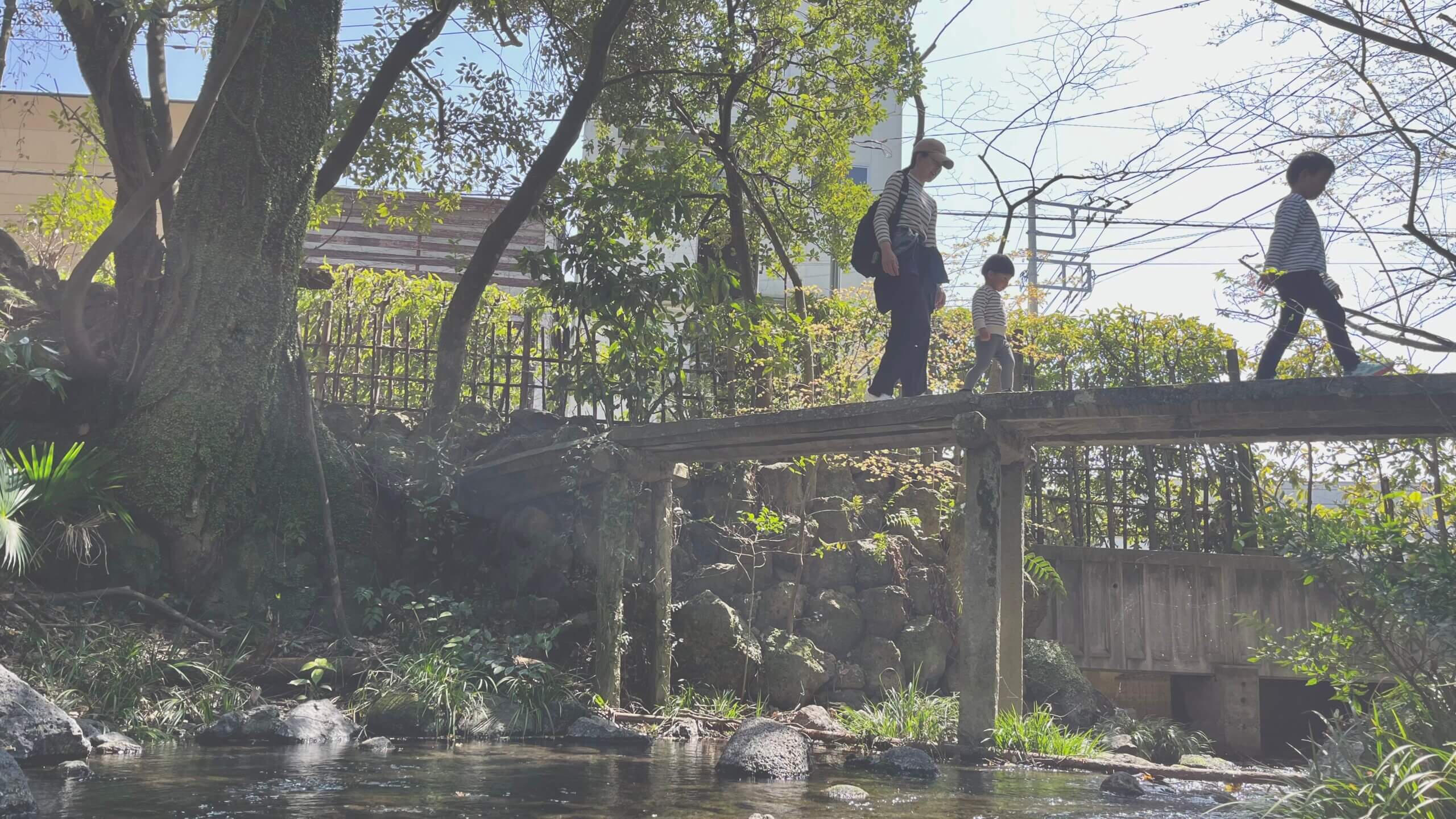 三島市の源兵衛川沿いを散策する子育て家族