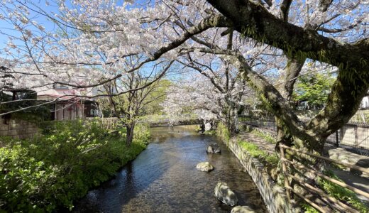 源兵衛川沿いの土地を売るとき、査定額を鵜呑みにしてはいけない理由